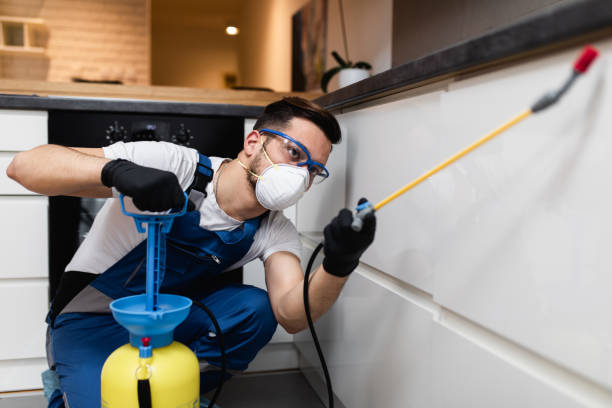  Rossville, GA Pest Control Pros