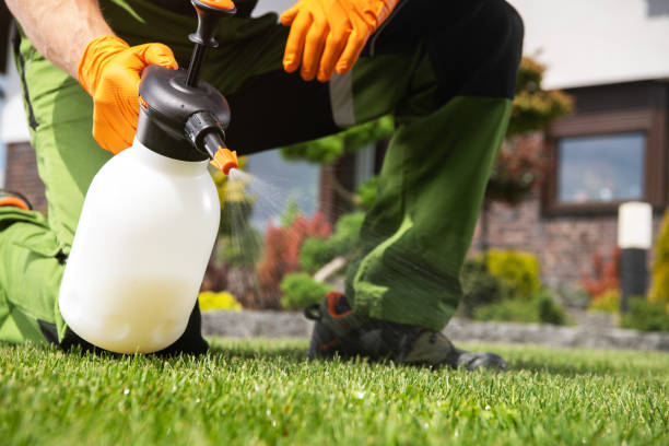 Bird Control in Rossville, GA